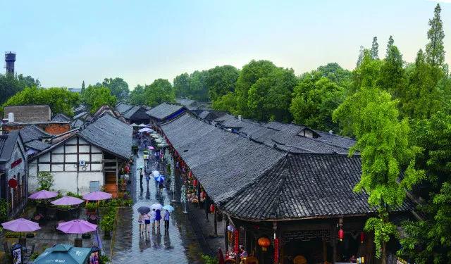 见习小魔女勇闯猪窝岛